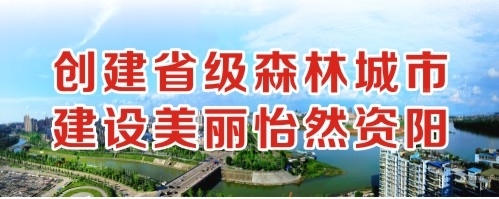 老板的大鸡吧插进去逼逼里面好爽啊黄色电影三级片创建省级森林城市 建设美丽怡然资阳